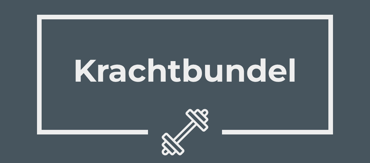 Krachtbundel